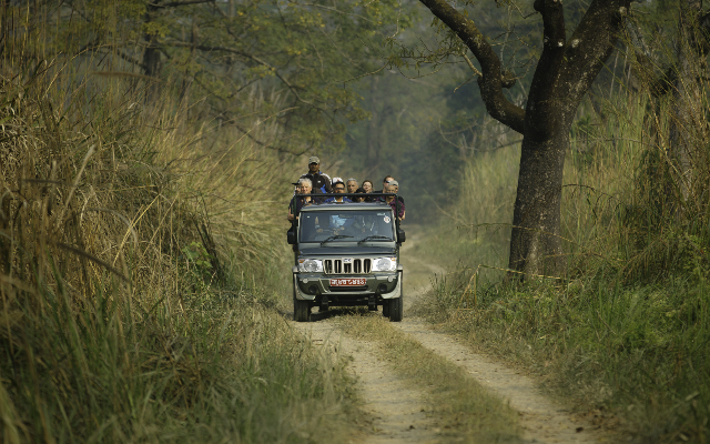Jungle Safari via Jeep Drive